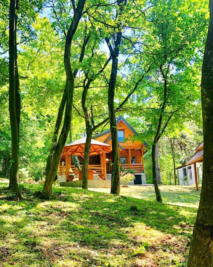 Jaktstuga Brvnara Vrsac