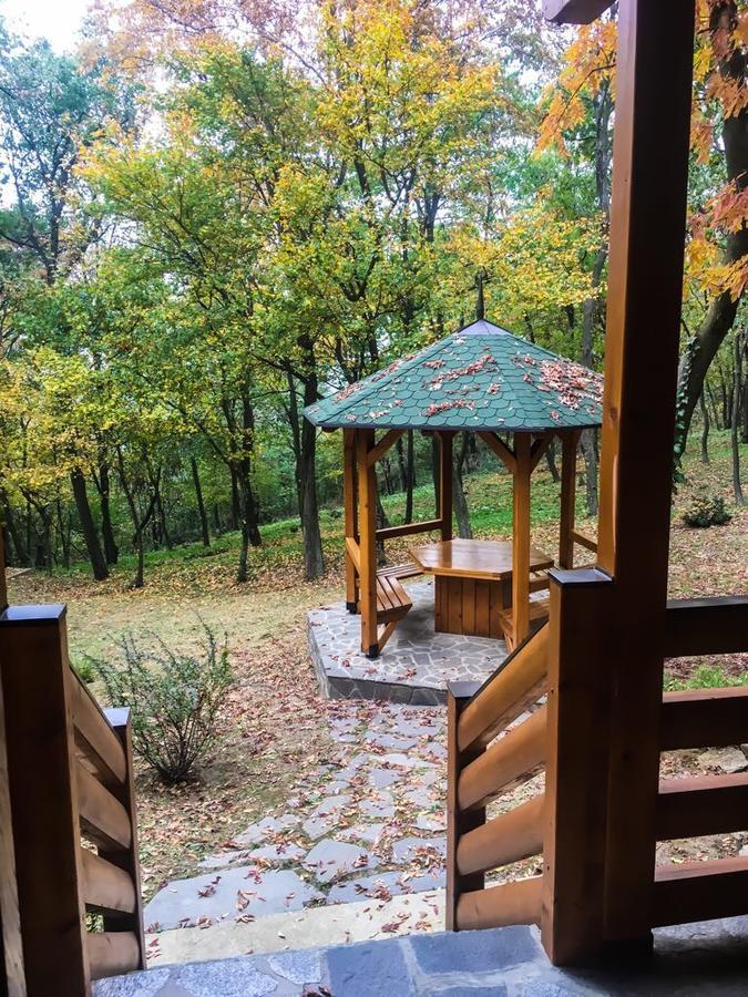 Brvnara Jaktstuga Vrsac