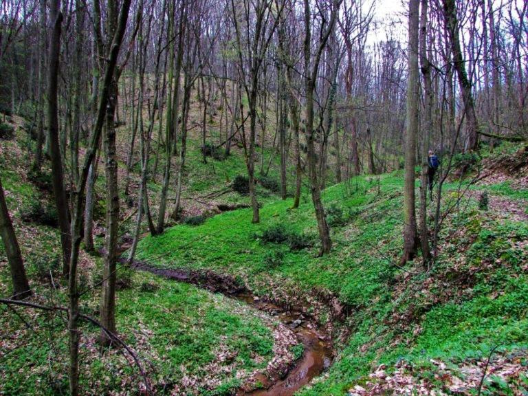 Brvnara Jaktstuga Vrsac