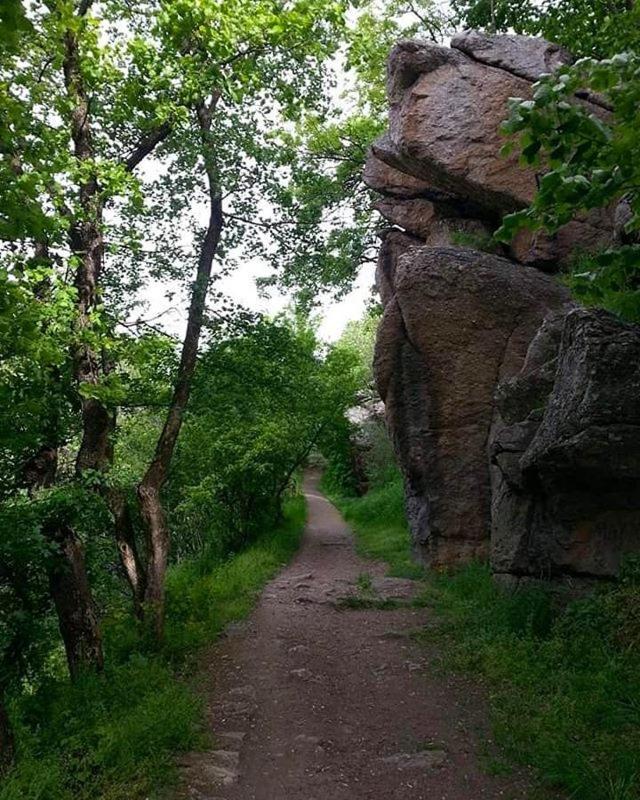 Brvnara * Vrsac